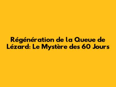 Régénération de la Queue de Lézard: Le Mystère des 60 Jours