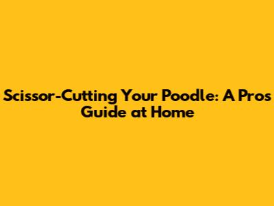 Scissor-Cutting Your Poodle: A Pro's Guide at Home