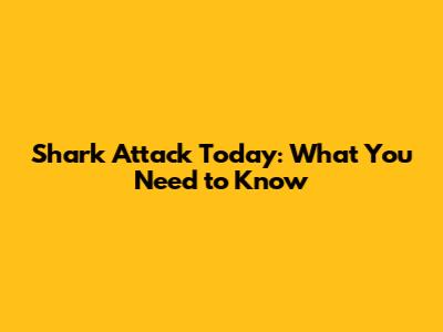 Shark Attack Today: What You Need to Know