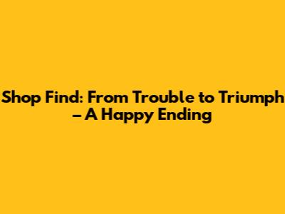 Shop Find: From Trouble to Triumph – A Happy Ending