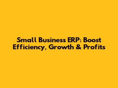 Small Business ERP: Boost Efficiency, Growth & Profits