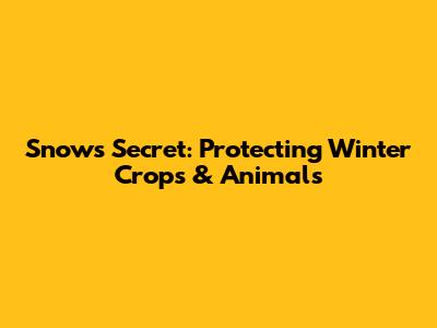Snow's Secret: Protecting Winter Crops & Animals