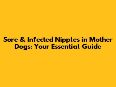 Sore & Infected Nipples in Mother Dogs: Your Essential Guide