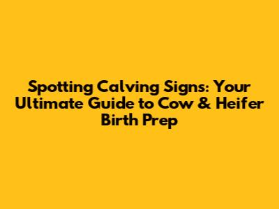 Spotting Calving Signs: Your Ultimate Guide to Cow & Heifer Birth Prep