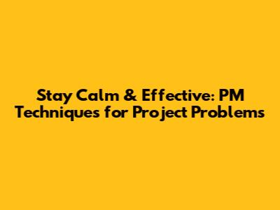Stay Calm & Effective: PM Techniques for Project Problems