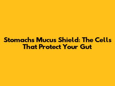 Stomach's Mucus Shield: The Cells That Protect Your Gut