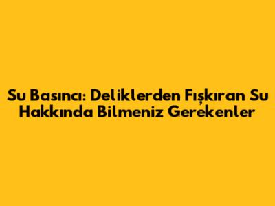 Su Basıncı: Deliklerden Fışkıran Su Hakkında Bilmeniz Gerekenler
