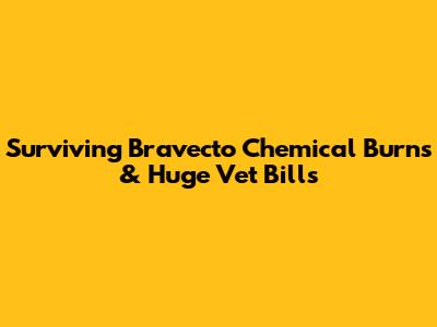 Surviving Bravecto Chemical Burns & Huge Vet Bills
