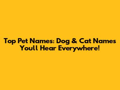 Top Pet Names: Dog & Cat Names You'll Hear Everywhere!