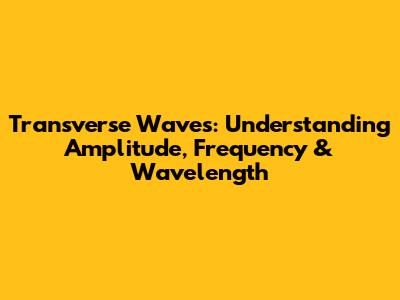 Transverse Waves: Understanding Amplitude, Frequency & Wavelength