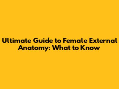 Ultimate Guide to Female External Anatomy: What to Know