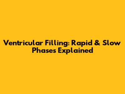 Ventricular Filling: Rapid & Slow Phases Explained
