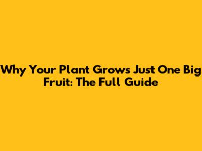 Why Your Plant Grows Just One Big Fruit: The Full Guide